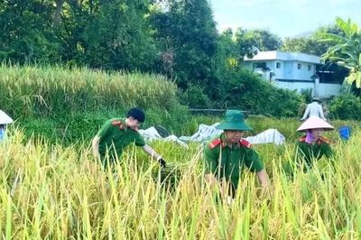 Tăng cường bảo vệ nông dân trước tội phạm công nghệ cao