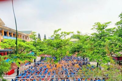 Quảng Trị quy định chi tiết các khoản thu, trường học không được thu thêm