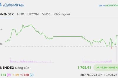 Chứng khoán hôm nay 16/10/2026: VN-Index hồi phục tăng gần 10 điểm