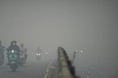 Ứng phó đợt cháy rừng nghiêm trọng nhất trong hơn 1 thập kỷ, Indonesia đồng ý nhận hỗ trợ nước ngoài