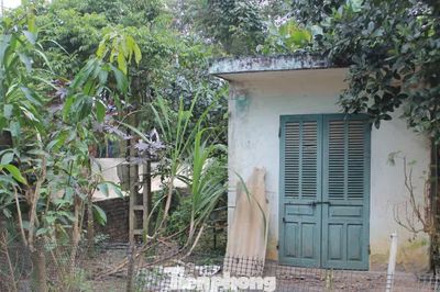 Tuyên Quang: Doanh nghiệp trúng thầu hơn 8 tỷ đồng, thi công 20% rồi bỏ cuộc