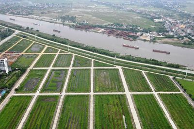 Cận cảnh khu 'đất vàng' ở Ninh Bình bỏ hoang cả thập kỷ, sắp được đấu giá