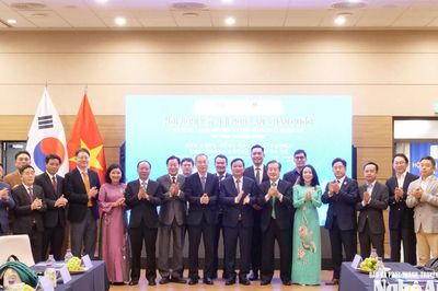 Nghệ An thúc đẩy hợp tác Hàn Quốc trong các ngành công nghệ xanh, năng lượng sạch