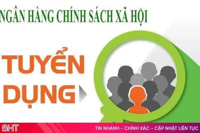Ngân hàng Chính sách xã hội Hà Tĩnh tuyển dụng lao động