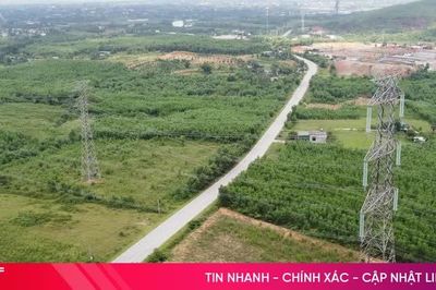 Chủ động phòng ngừa từ sớm, từ xa nguy cơ mất an toàn lưới điện 500kV