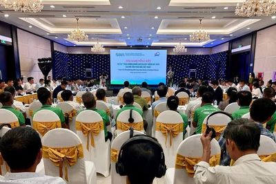 Nhật Bản hỗ trợ Việt Nam phát triển chuỗi giá trị cây trồng an toàn