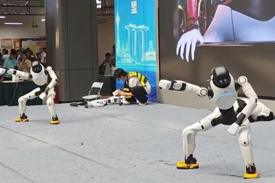 Robot hình người nhảy múa, robot chó gây chú ý tại Trung Quốc