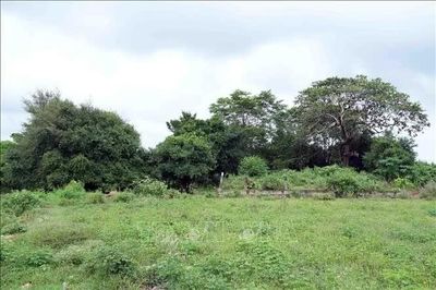 Người dân mong di tích thờ Chúa Tiên Nguyễn Hoàng sớm được phục dựng