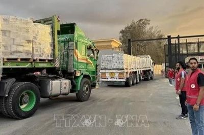 Hội đồng Hòa bình phản đối đình chỉ đưa hàng thương mại vào Gaza