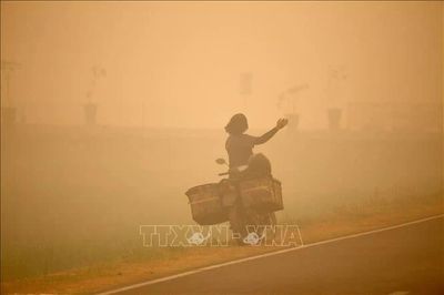 Indonesia: Tiếp nhận viện trợ nước ngoài ứng phó cháy rừng nghiêm trọng