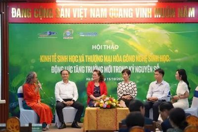 Khi công nghệ xuất sắc vẫn bỏ lỡ cơ hội toàn cầu vì thiếu hệ sinh thái