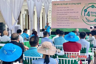 Mô hình lúa xanh tại Ninh Bình: Giảm chi phí, nâng giá trị hạt gạo
