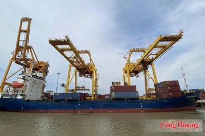 Ngành Công Thương bám sát kịch bản tăng trưởng, quyết tâm hoàn thành chỉ tiêu năm 2026