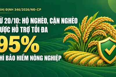Từ 20/10: Hộ nghèo, cận nghèo được hỗ trợ tối đa 95% phí bảo hiểm nông nghiệp.
