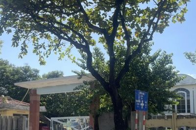 Đà Nẵng công bố phương án cho thuê ngắn hạn 433 cơ sở nhà đất dôi dư