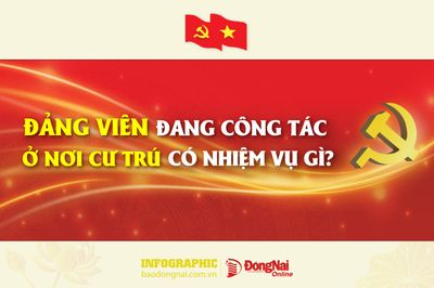 [Infographic] Đảng viên đang công tác ở nơi cư trú có nhiệm vụ gì?