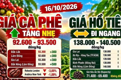 Giá cà phê, hồ tiêu hôm nay 16/10: Cà phê khởi sắc, hồ tiêu đi ngang