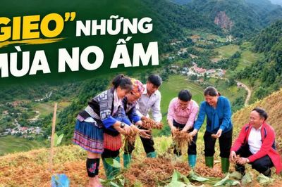 "Gieo" những mùa no ấm