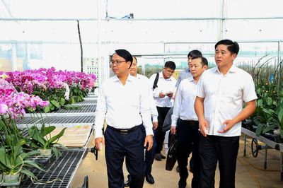 Phó Bí thư Thường trực Tỉnh ủy Lâm Đồng Đặng Hồng Sỹ thăm doanh nghiệp trồng hoa lan
