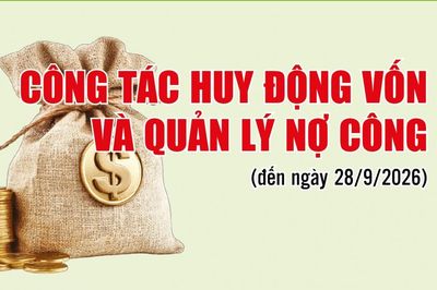 Infographics: Công tác huy động vốn và quản lý nợ công
