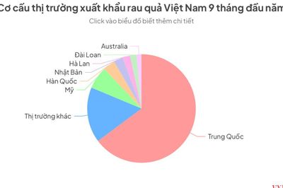 Trung Quốc đột ngột giảm mua, vì sao xuất khẩu rau quả vẫn lập kỷ lục?
