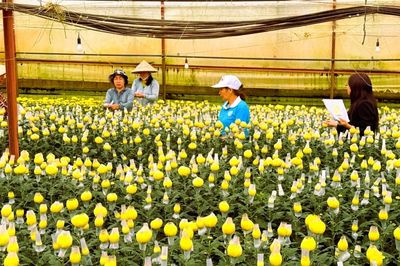 Gỡ điểm nghẽn, tái cơ cấu quỹ tín dụng nhân dân