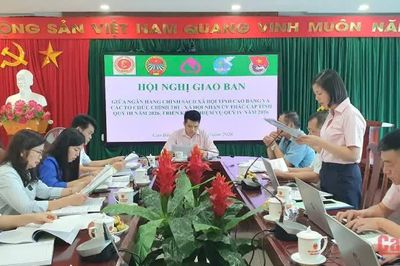 Hơn 5.300 tỷ đồng vốn chính sách được ủy thác qua các tổ chức chính trị - xã hội