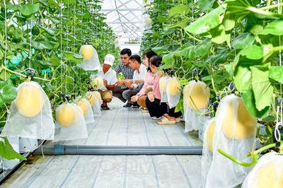 Bền hành động, thấm lòng dân
