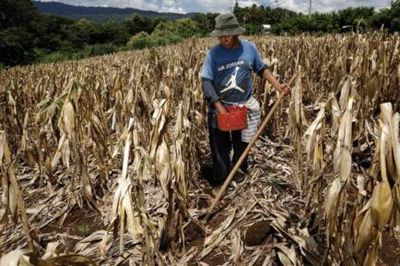 Hiện tượng El Nino khiến nhiệt độ tại vùng nhiệt đới ở Thái Bình Dương tăng kỷ lục
