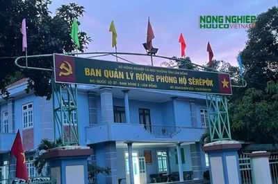 Truy tìm các đối tượng phá rừng do Ban QLRPH Sêrêpôk quản lý
