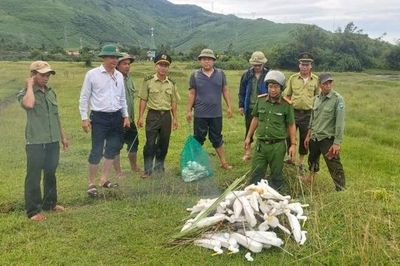 Tp. Huế: Xã Chân Mây - Lăng Cô ra quân xử lý bẫy cò, bảo vệ đa dạng sinh học