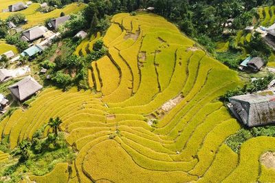 Mùa vàng Xà Phìn hút khách giữa núi rừng Tây Côn Lĩnh