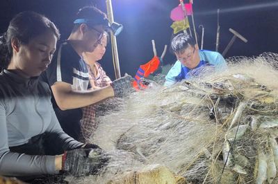 Ngư dân Hà Tĩnh trúng đậm cá bạc má