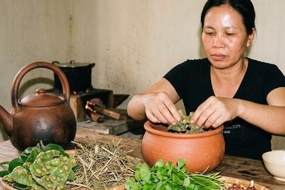 Bài thuốc có lá sung giúp thanh nhiệt