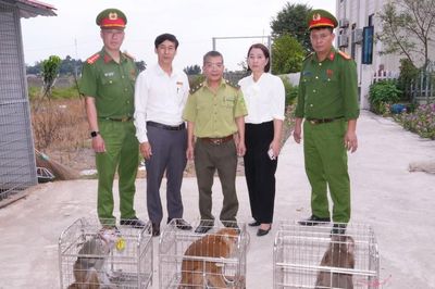 Nhiều người dân Hải Phòng bắt được cá thể khỉ quý hiếm đi lạc