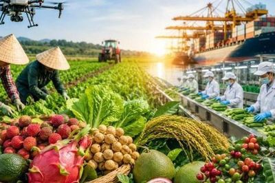 Chỉ đạo, điều hành của Chính phủ, Thủ tướng Chính phủ nổi bật tuần 10-16/10/2026