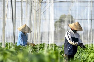 Ban hành Chuẩn chương trình đào tạo lĩnh vực sản xuất và chế biến