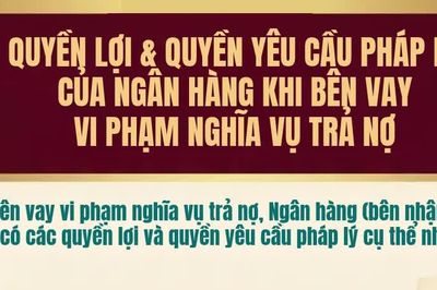 [Infographic] Quyền lợi và quyền yêu cầu pháp lý của Ngân hàng khi bên vay vi phạm nghĩa vụ trả nợ