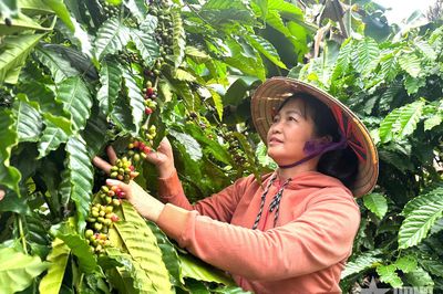 Những nữ nông dân thay đổi tư duy, làm chủ ruộng vườn