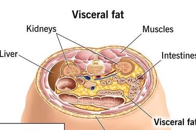 Nghiên cứu mới về thuốc tiêu diệt tế bào mỡ, giúp kiểm soát cân nặng lâu dài