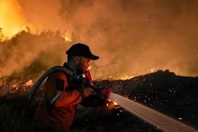 Singapore cân nhắc xử lý pháp lý doanh nghiệp liên quan cháy rừng Indonesia