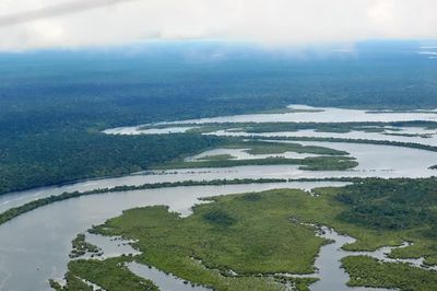 Brazil ghi nhận mức phá rừng Amazon thấp nhất gần 40 năm