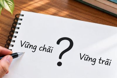 Vững chãi hay vững trãi là từ viết đúng chính tả tiếng Việt?