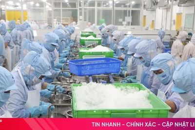 Hà Tĩnh từng bước hình thành, vận hành hệ sinh thái tận dụng các hiệp định thương mại tự do