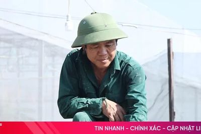 Vựa hoa ở Hà Tĩnh tất bật sản xuất phục vụ Tết