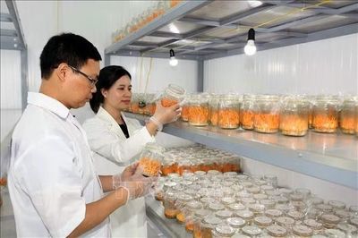 Ngày Phụ nữ Việt Nam 20/10: Khởi nghiệp và lan tỏa giá trị tốt đẹp
