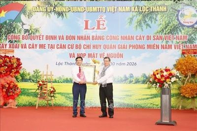Đồng Nai: Công bố quyết định công nhận Cây Di sản Việt Nam