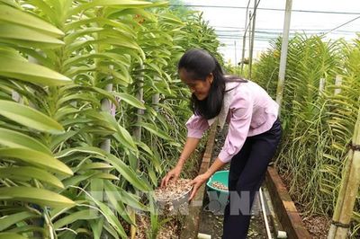 Khi vốn xanh không dành cho những cam kết trên giấy