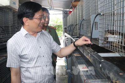 Lãnh đạo Cà Mau khảo sát mô hình kinh tế hiệu quả tại Đất Mũi