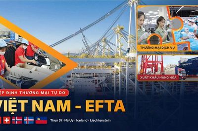 FTA Việt Nam - EFTA: Thêm 'cao tốc' đưa hàng Việt vào thị trường châu Âu